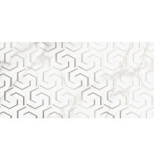 Декоративная плитка Alma Ceramica DWU09GRG007 Grigio 50x24.9 серая / белая глянцевая с орнаментом