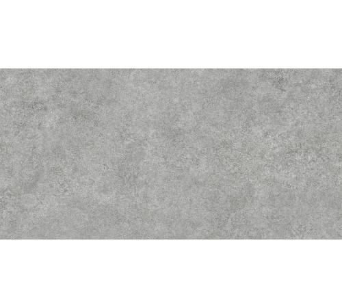 Керамогранит Alma Ceramica GFA114ADM70R Amsterdam 114x57 серый сатинированный под камень