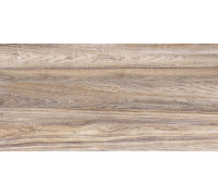 Плитка настенная Dublin TWU09DBL404 249x500x7.5 Глянцевая