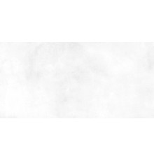 Настенная плитка Alma Ceramica TWU09RCD000 Richard 50x24.9 белая глянцевая под бетон