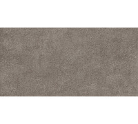 Настенная плитка Alma Ceramica TWU2550DCV40 Discover 24.9x50 коричневая глянцевая / рельефная под цемент