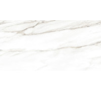 Настенная плитка Alma Ceramica TWU2550EPH04 Euphoria 24.9x50 белая матовая под мрамор