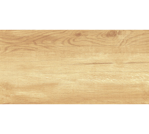 Плитка настенная Paradise Wood WT9OAS31 250x500x9 Глянцевая
