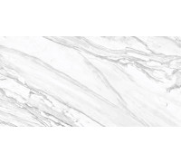 Керамогранит Delacora D12065M Statuary Venato 60x120 белый матовый под мрамор