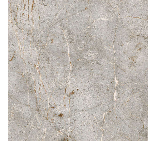 Керамогранит Граните Бардильо Классик 60х60 SR