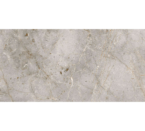 Керамогранит Граните Бардильо Классик 60х120 LLR