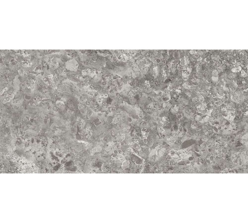 Керамогранит Граните Лунар серый 60х120 MR