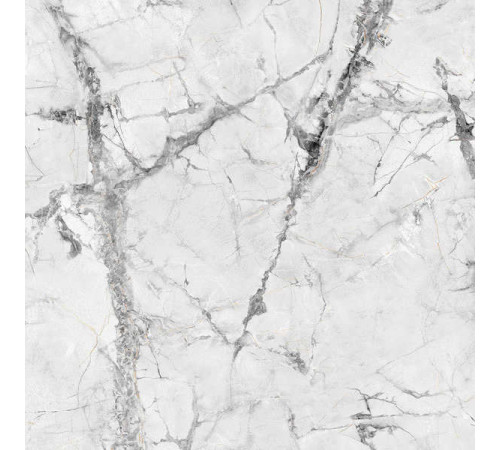 Керамогранит Граните Люссо серый 60х60 MR