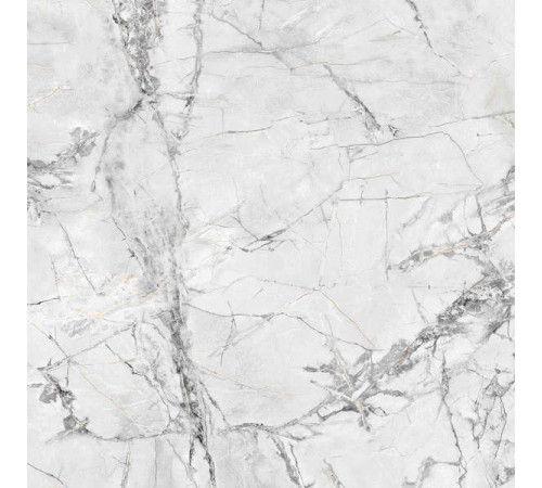 Керамогранит Граните Люссо серый 60х60 MR