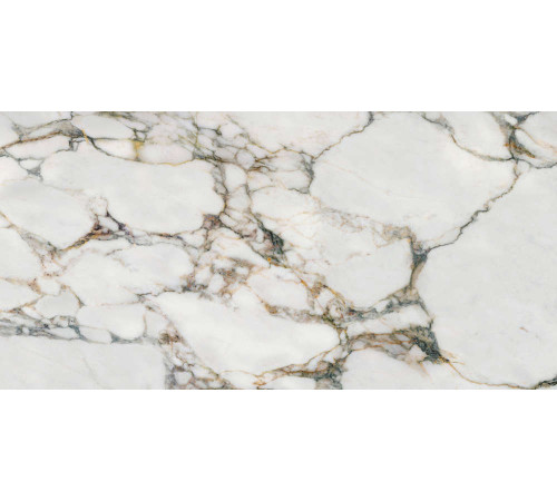 Керамогранит Граните Люссо Сублимат 60х120 MR