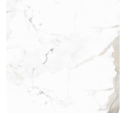 Керамогранит Граните Паллисандро Оро 60х60 SR