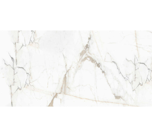 Керамогранит Граните Паллисандро Оро 60х120 SR