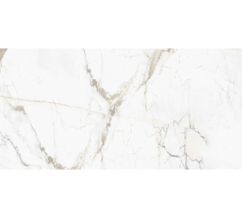 Керамогранит Граните Паллисандро Оро 60х120 SR