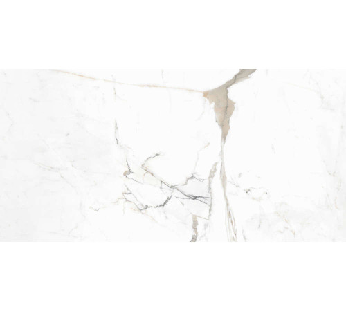 Керамогранит Граните Паллисандро Оро 60х120 SR