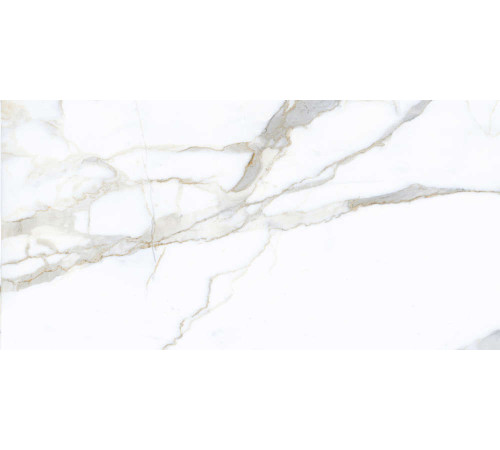 Керамогранит Граните Паллисандро Классик 60х120 MR