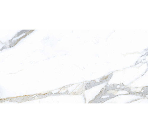 Керамогранит Граните Паллисандро Классик 60х120 MR