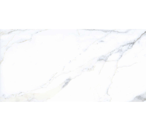 Керамогранит Граните Паллисандро Классик 60х120 MR