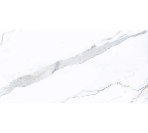 Керамогранит Граните Паллисандро Классик 60х120 MR