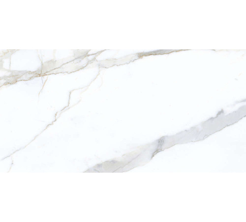 Керамогранит Граните Паллисандро Классик 60х120 MR