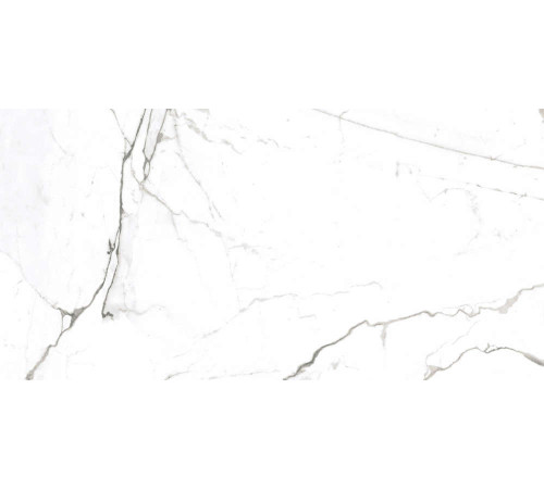 Керамогранит Граните Паллисандро Неро 60х120 LLR