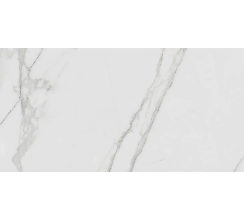 Керамогранит Граните Паллисандро Гриджио 60х120 MR