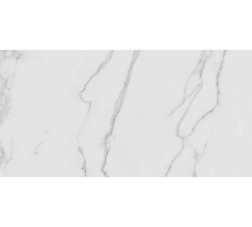 Керамогранит Граните Паллисандро Гриджио 60х120 MR