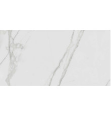 Керамогранит Граните Паллисандро Гриджио 60х120 LLR