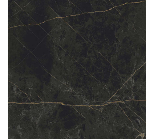 Керамогранит Граните Сандра черно-оливковый 60х60 MR