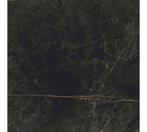 Керамогранит Граните Сандра черно-оливковый 60х60 MR