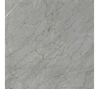 Керамогранит Граните Сансет Ардженто 60х60 LLR