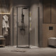 Душевое ограждение Grossman Pragma 302.K33.03.1010.42.00 (100х100х195) трапеция,распашная,графит сатин,стекло прозрачное