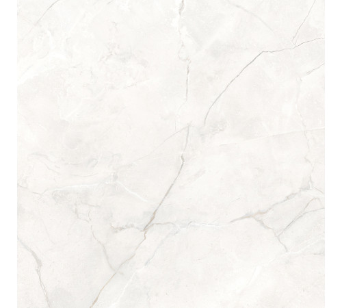 Connect Pearl Керамогранит светло-серый SG624920R 59,5х59,5 матовый