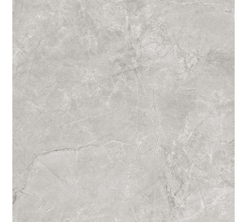 Pluto Silver Керамогранит светло-серый SG625820R 59,5х59,5 матовый