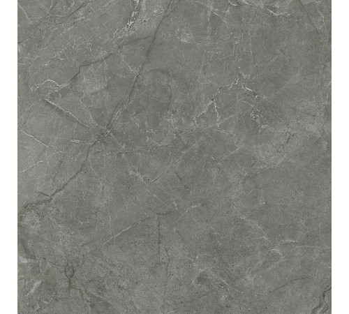 Pluto Grigio Керамогранит серый SG625920R 59,5х59,5 матовый