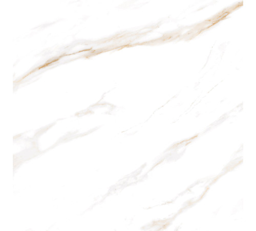 Calacatta Regal Gold Керамогранит белый 60х60 Полированный