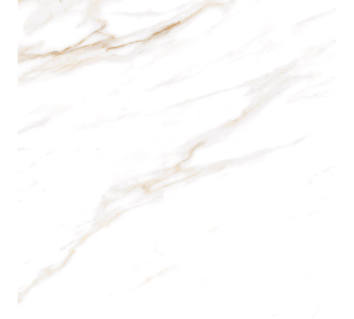 Calacatta Regal Gold Керамогранит белый 60х60 Полированный