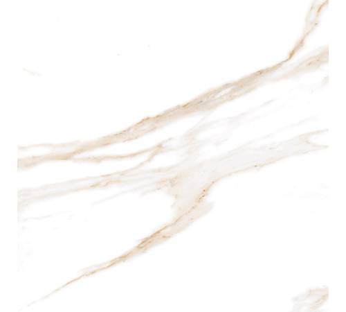 Calacatta Regal Gold Керамогранит белый 60х60 Полированный