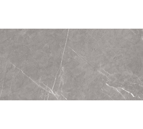 Pietra Grey Керамогранит серый 60х120 матовый карвинг