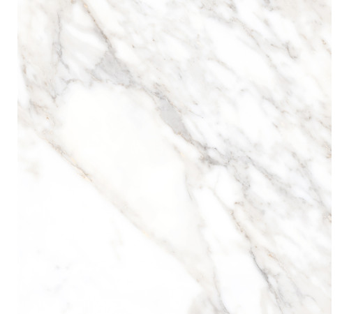 Salm Керамогранит 80х80 Полированный
