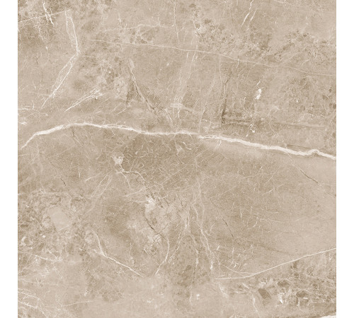 Obsidian Taupe Керамогранит 60х60 Матовый