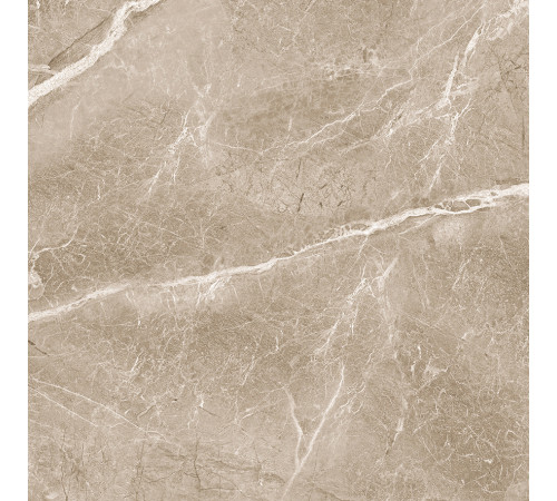 Obsidian Taupe Керамогранит 60х60 Матовый