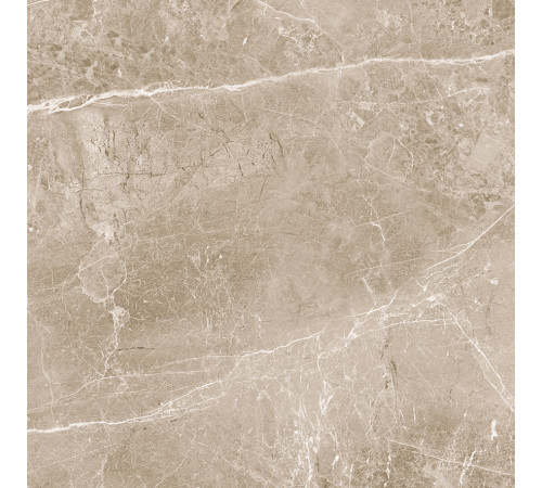 Obsidian Taupe Керамогранит 60х60 Матовый