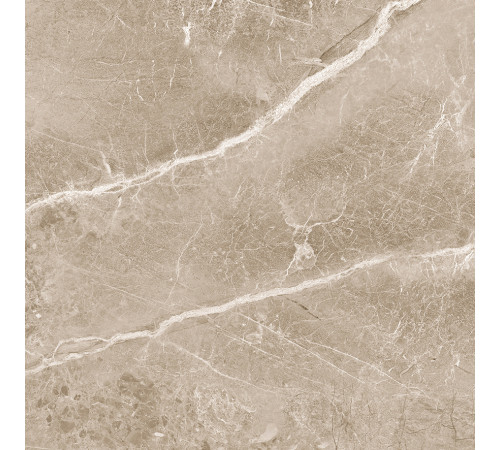 Obsidian Taupe Керамогранит 60х60 Матовый