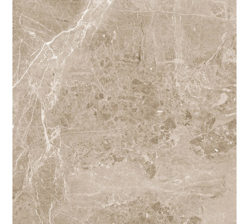 Obsidian Taupe Керамогранит 60х60 Матовый