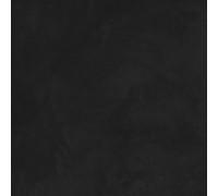 Evolution Nero Керамогранит чёрный SG603920R 59,5х59,5 матовый Карвинг