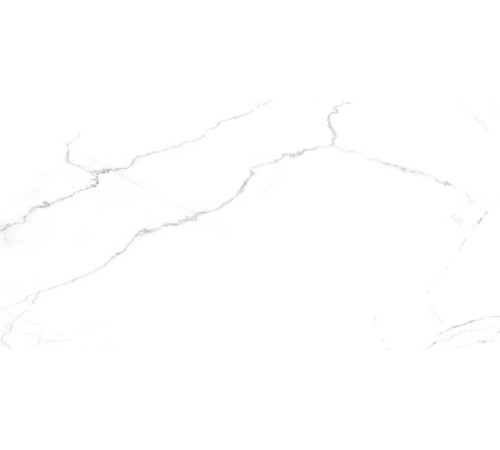 Discovery Blanco Керамогранит белый SG50002420R 59,5х119,1 матовый