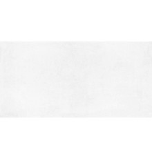 Betonica Blanco PRO Керамогранит светло-серый 60х120 матовый R11Soft