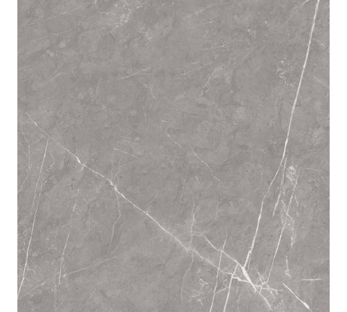 Pietra Grey Керамогранит серый 60х60 матовый карвинг