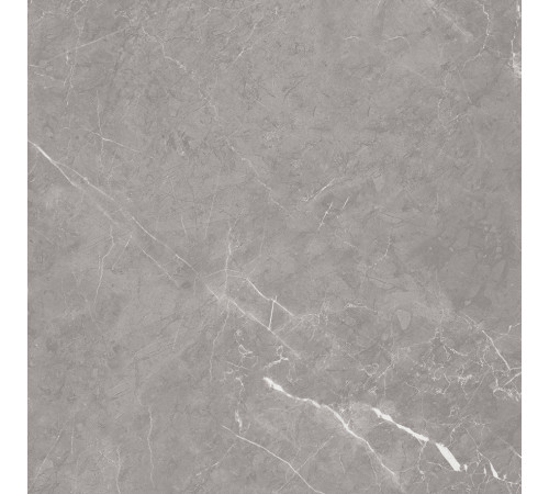 Pietra Grey Керамогранит серый 60х60 матовый карвинг