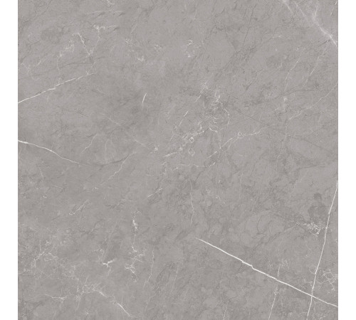 Pietra Grey Керамогранит серый 60х60 матовый карвинг